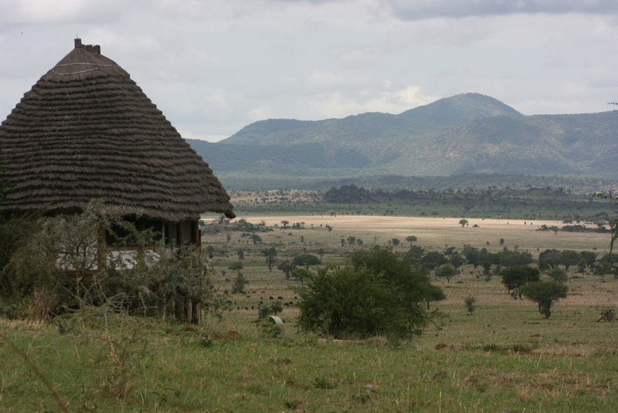 imagen 2 de Un safari de ensueño en el norte de Uganda.