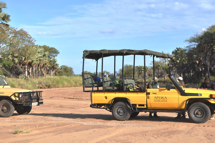 imagen 3 de Un safari de ensueño en el norte de Uganda.