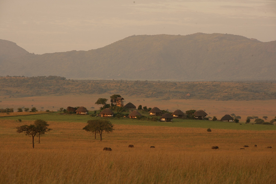 imagen 5 de Un safari de ensueño en el norte de Uganda.