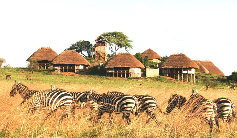 imagen 8 de Un safari de ensueño en el norte de Uganda.