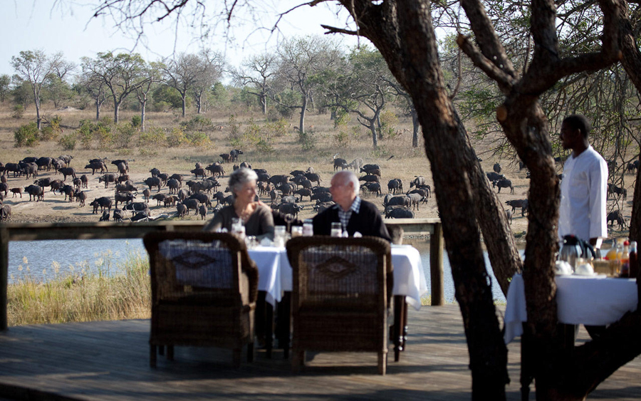 imagen 12 de Un safari de lujo en el corazón del Parque Kruger.