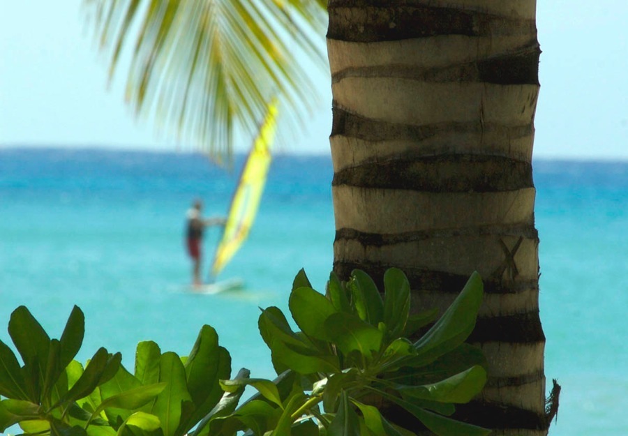 imagen 6 de Carlisle Bay, lujo y mar Caribe