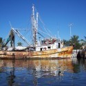 En el muelle de San Blas…