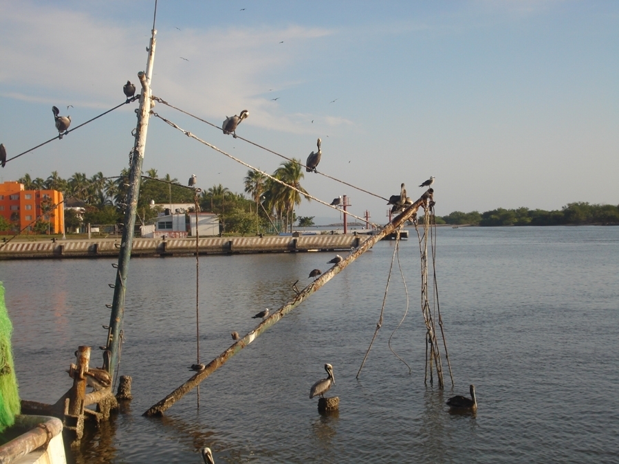 imagen 11 de En el muelle de San Blas…