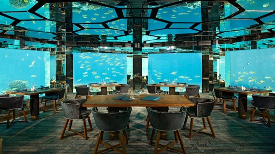 imagen 4 de Menú subacuático en el Restaurante Submarino de Valencia