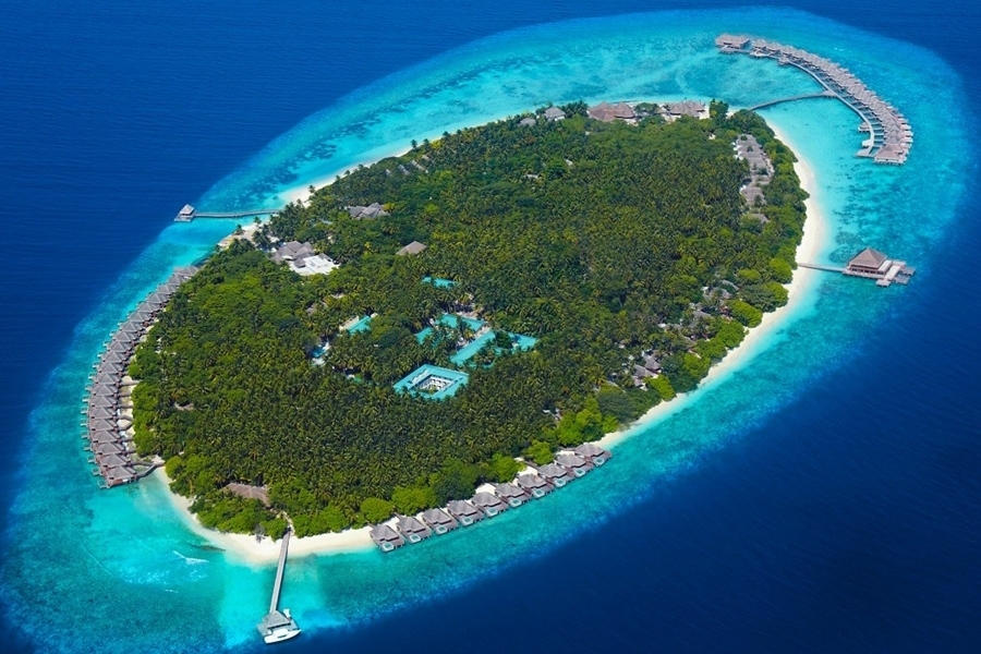imagen 5 de Dusit Thani, un resort en la isla más paradisíaca del mundo.