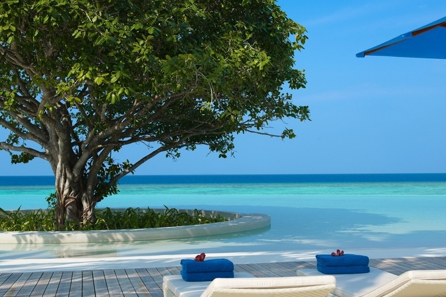 imagen 6 de Dusit Thani, un resort en la isla más paradisíaca del mundo.
