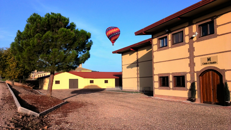 imagen 4 de Casas de Hualdo. Olivar desde el cielo.