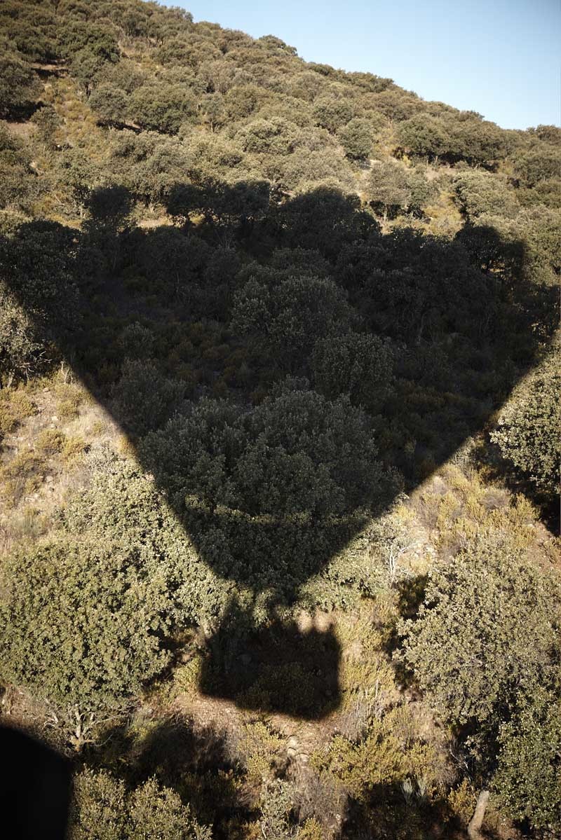 imagen 3 de Casas de Hualdo. Olivar desde el cielo.