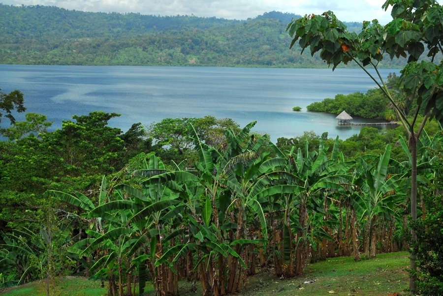 imagen 8 de Sarani, la joya del archipiélago de Bocas del Toro.