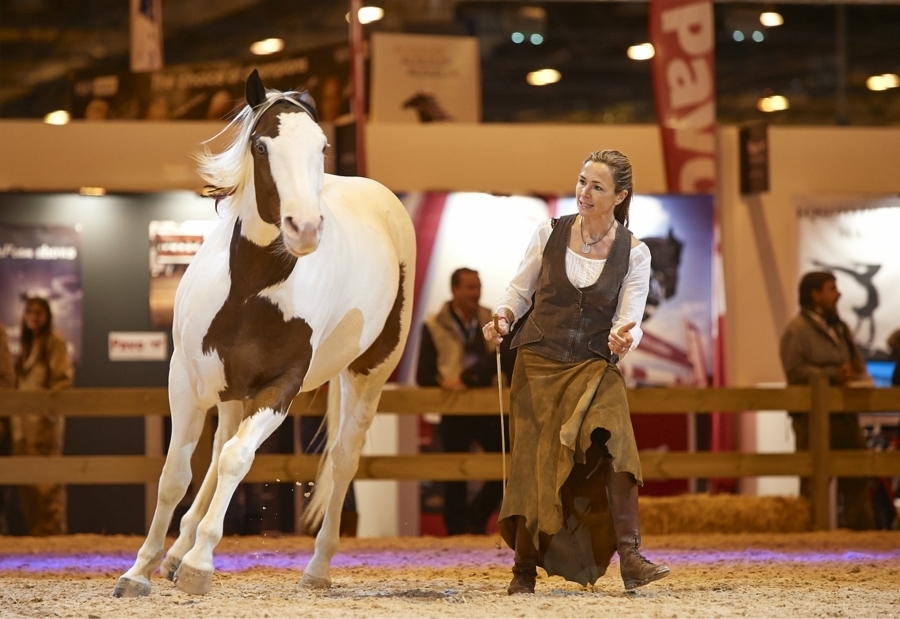 imagen 10 de Madrid Horse Week.