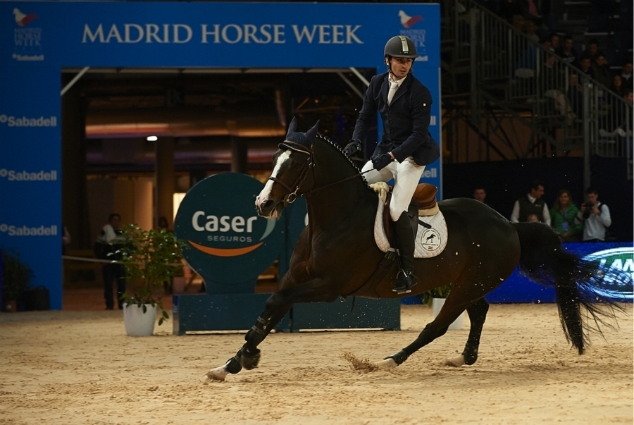 imagen 5 de Madrid Horse Week.