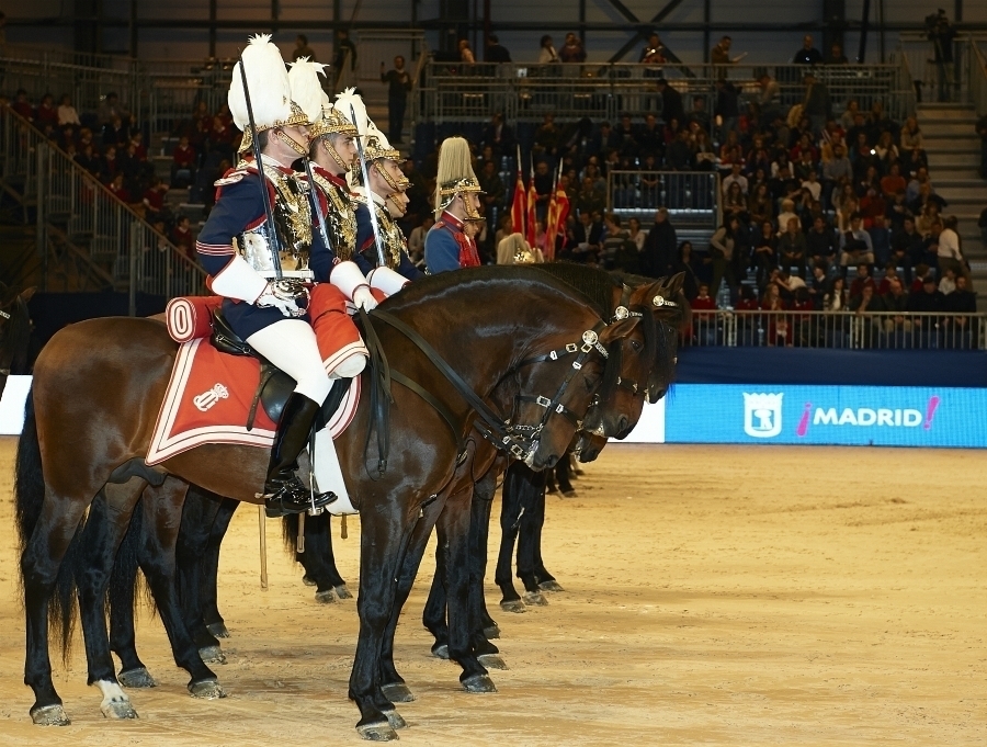 imagen 6 de Madrid Horse Week.