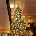 Dolce & Gabbana estrena su árbol de Navidad.