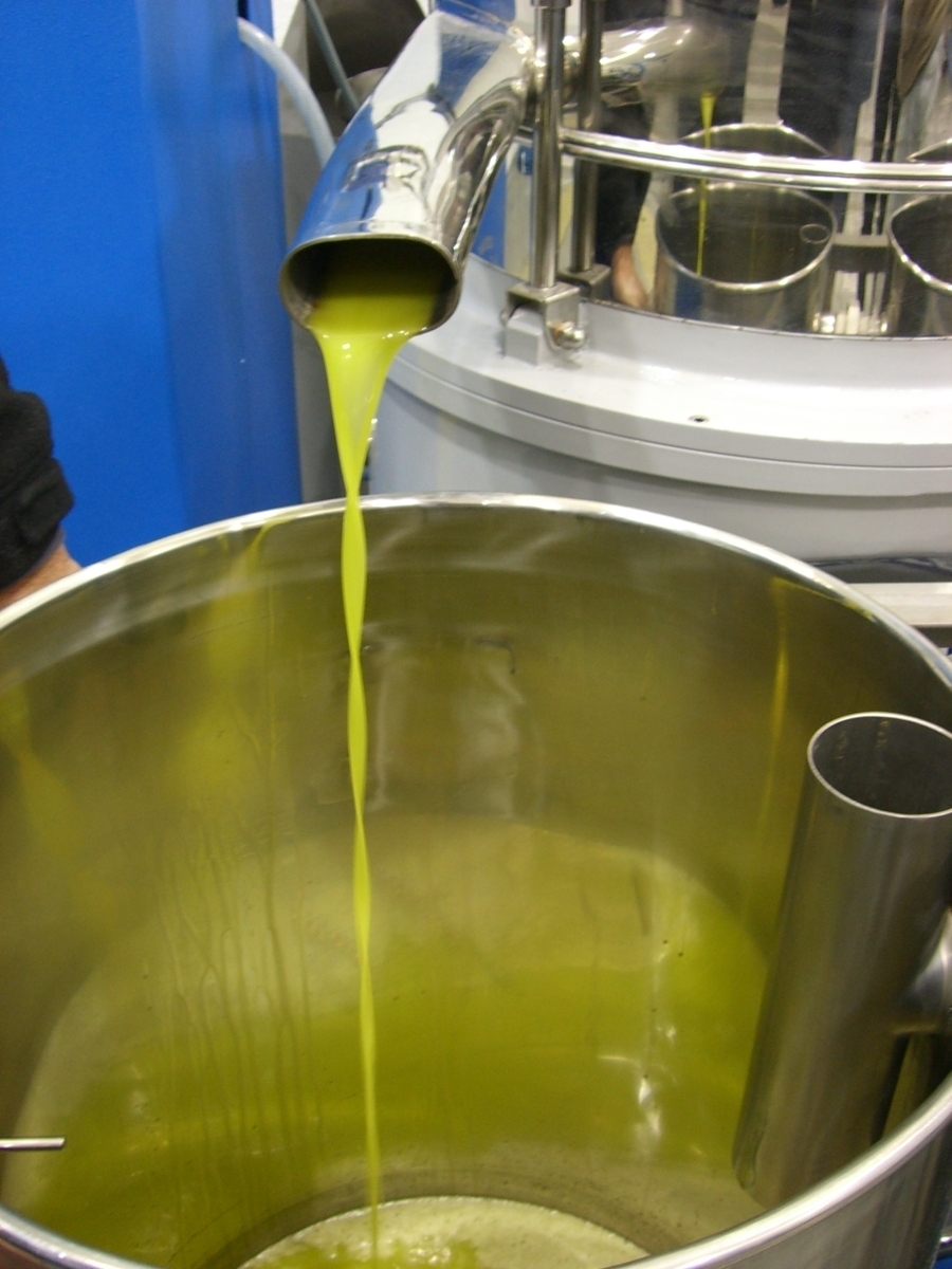 imagen 3 de El mejor aceite de oliva, en el 38 de Larumbe.