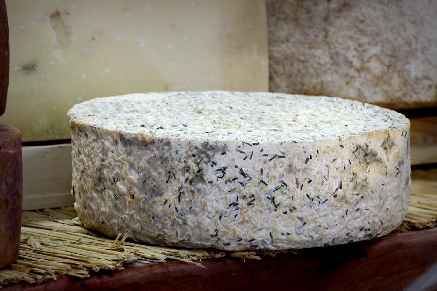 imagen 5 de Pasión por el queso artesano en Tierras de Medina.