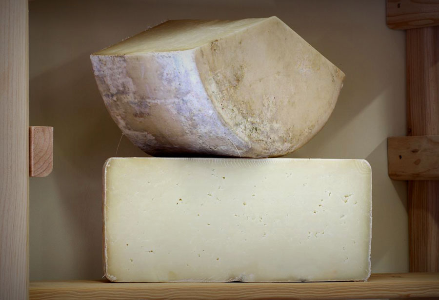 imagen 6 de Pasión por el queso artesano en Tierras de Medina.