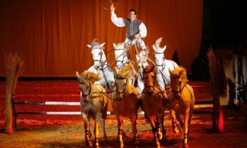 ¿Quieres ir a Madrid Horse Week 2014?