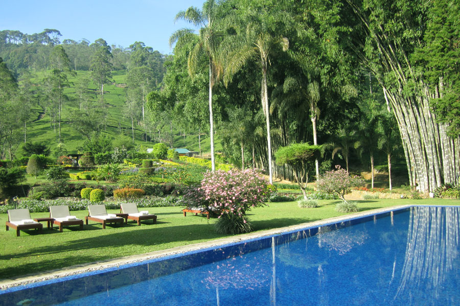 imagen 6 de El único hotel de lujo en una plantación de té de Ceilán.