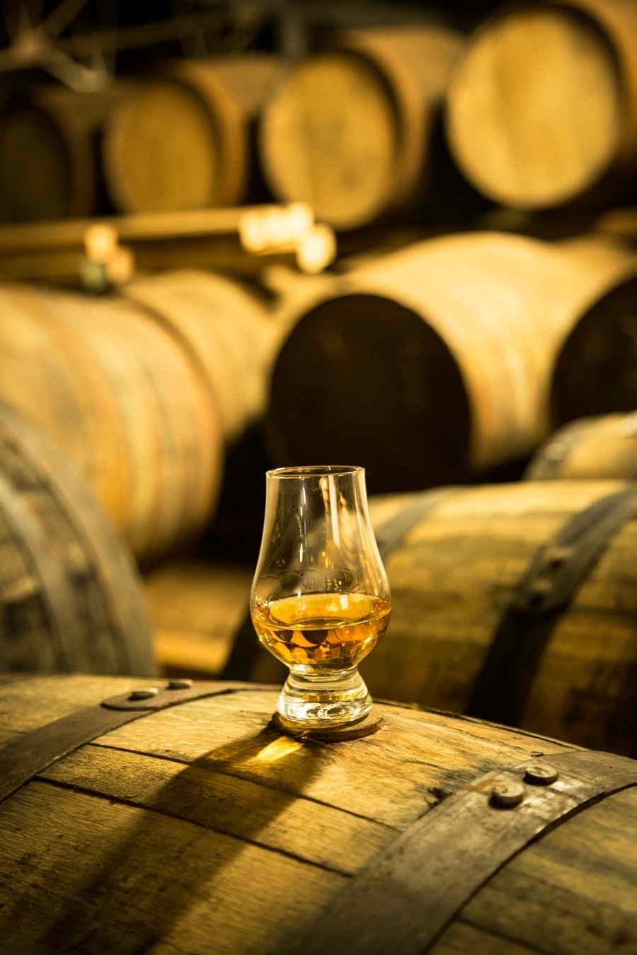 imagen 3 de Whisky Gran Lujo: “Glenﬁddich 26 años – Excellence”