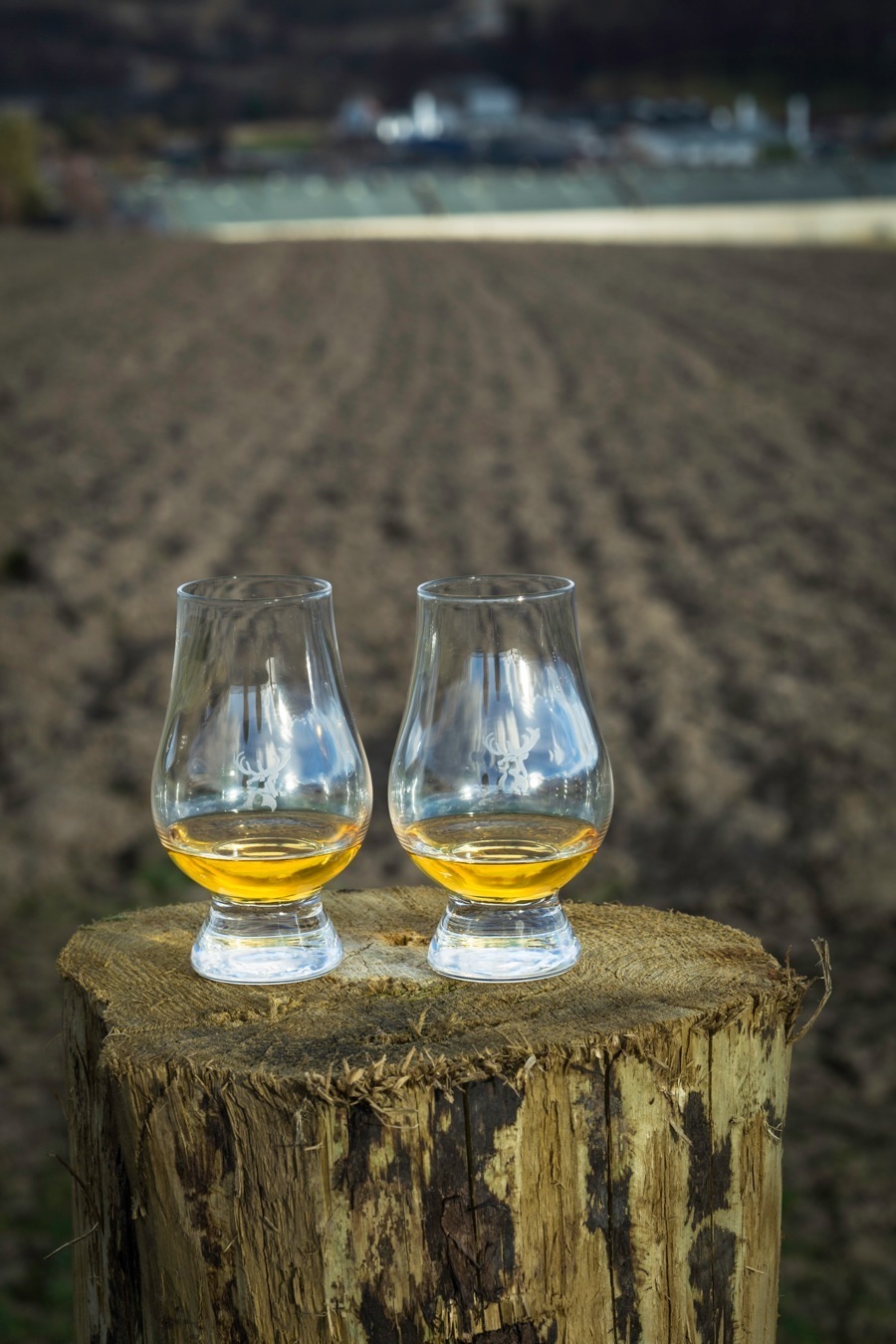 imagen 5 de Whisky Gran Lujo: “Glenﬁddich 26 años – Excellence”