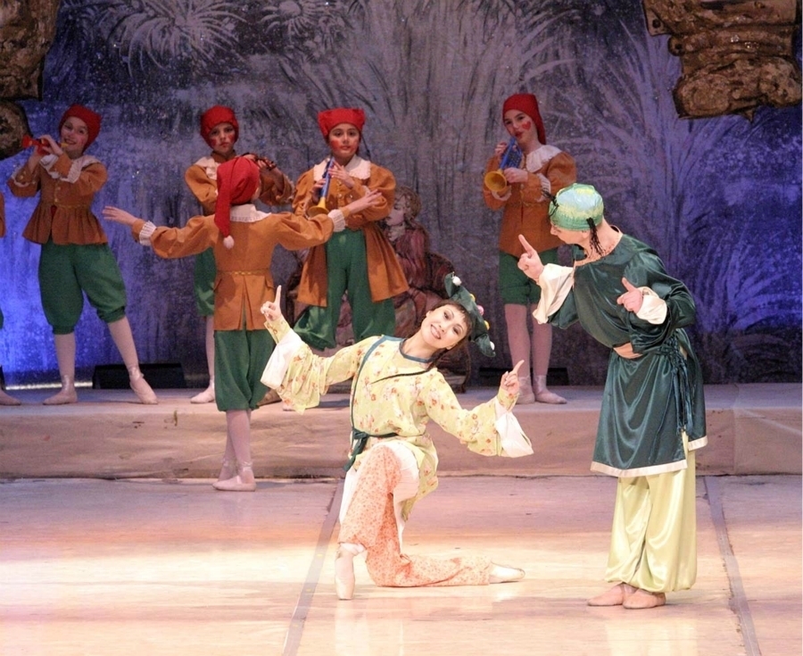 imagen 12 de Ballet Imperial Ruso.