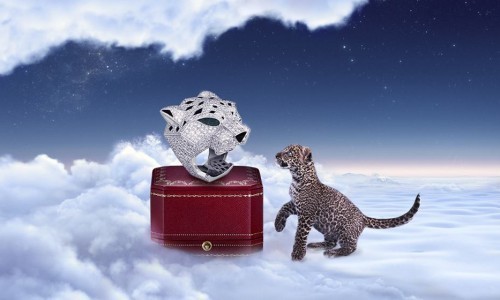 The Winter Tale by Cartier.