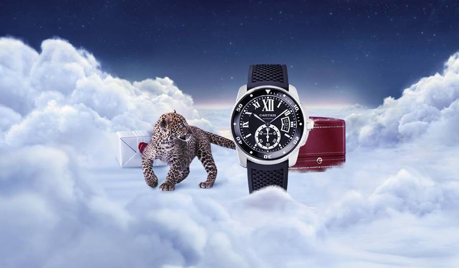 imagen 4 de The Winter Tale by Cartier.