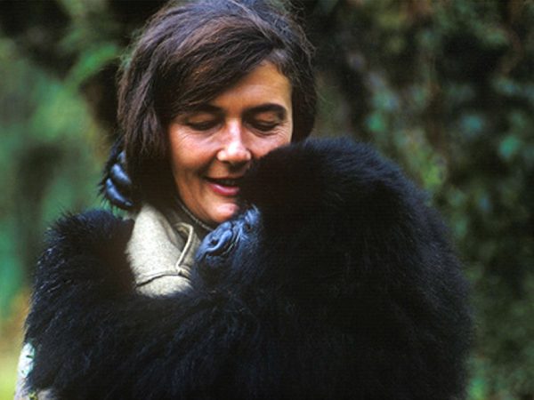 Dian Fossey, gorilas en la niebla.