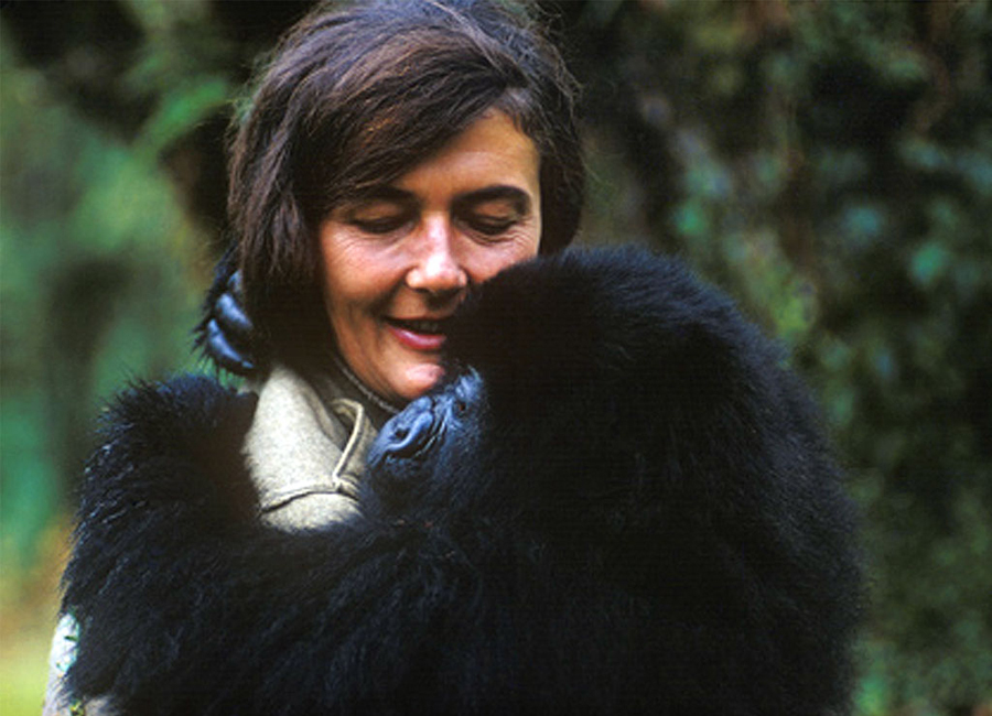 imagen de Dian Fossey