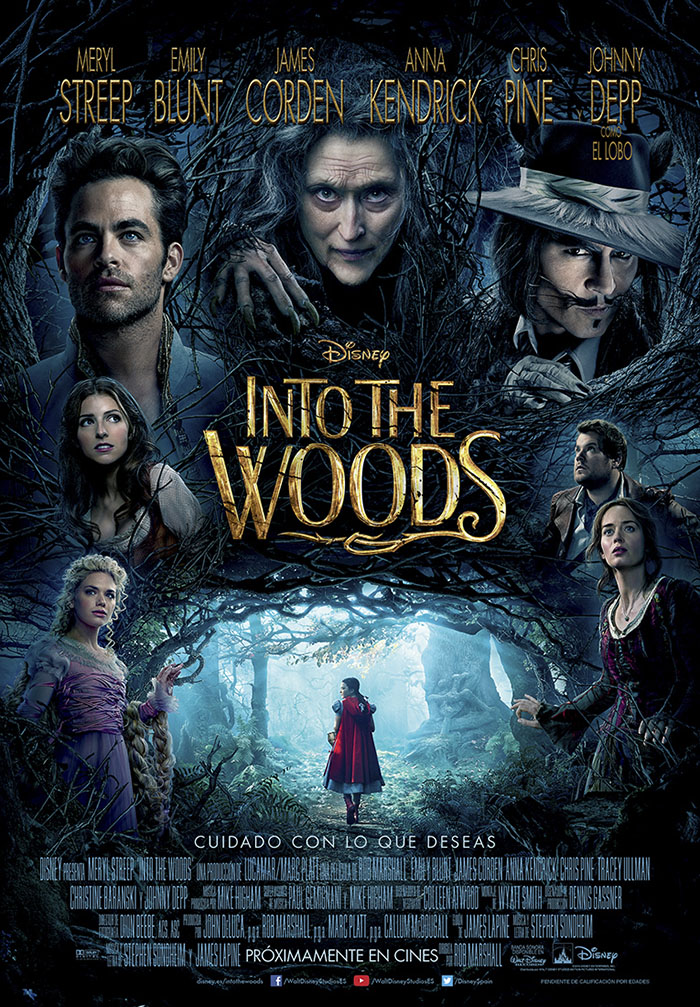 imagen 1 de Into the woods