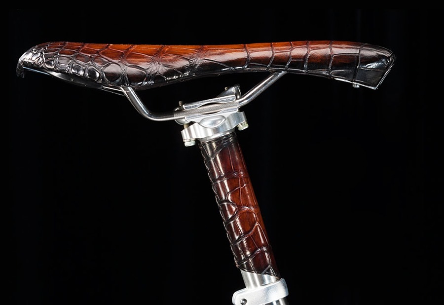 imagen 2 de Una bicicleta de piel de cocodrilo.