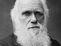 Charles Darwin, naturalista, y el origen de las especies.