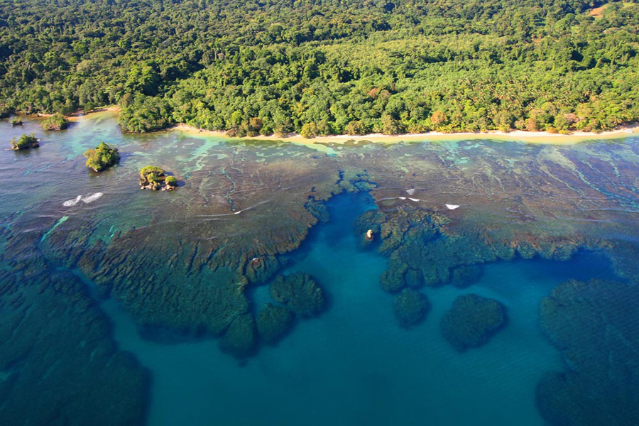 imagen 3 de Playa Tortuga, el último paraíso por descubrir en Panamá.