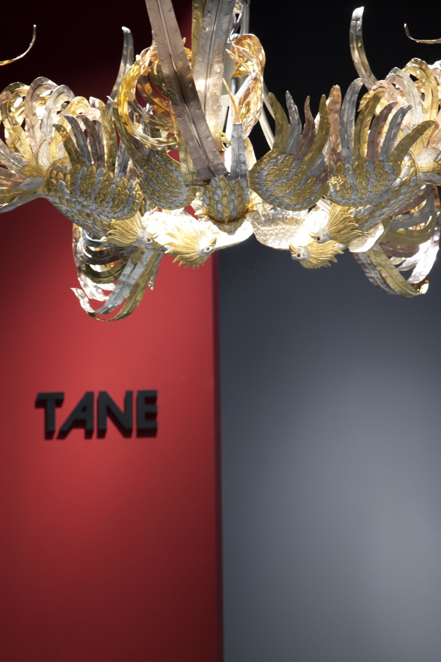 imagen 8 de CuldeSac crea el escenario perfecto para los diseños de TANE.