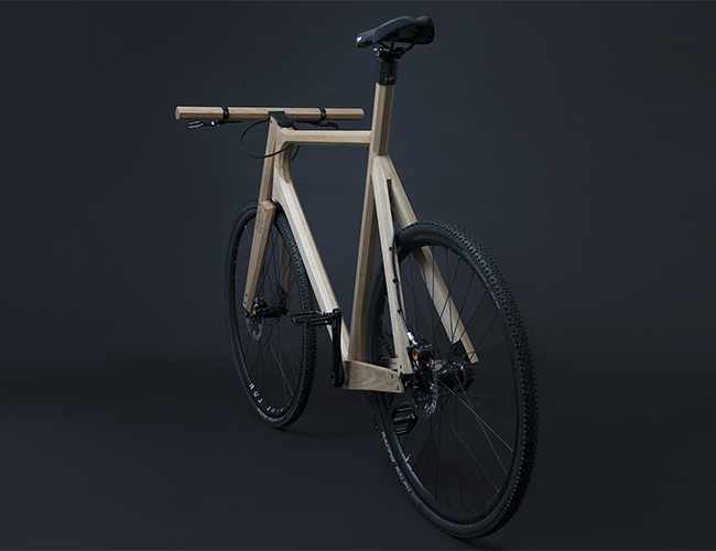 imagen 2 de La bicicleta de madera de Paul Timmer.