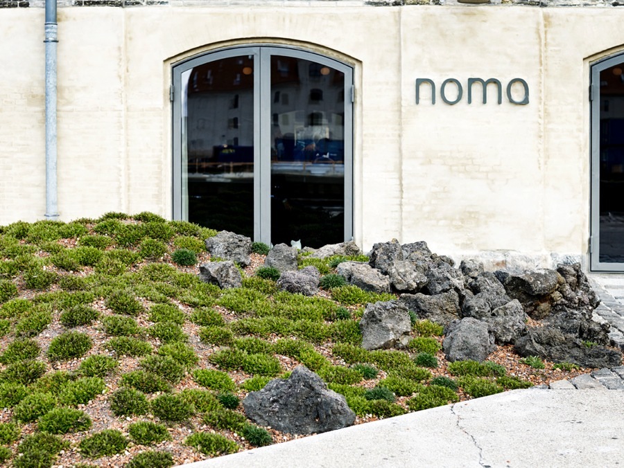 imagen 9 de Noma, el danés más delicioso del mundo.