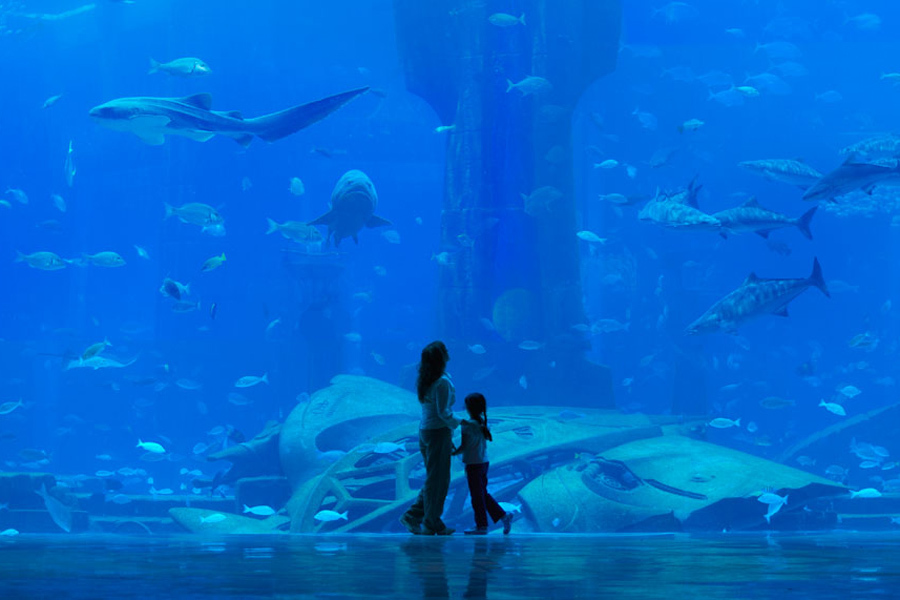 imagen 9 de Atlantis, suites submarinas para millonarios en Dubái.