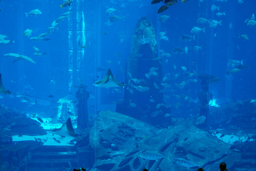imagen 6 de Atlantis, suites submarinas para millonarios en Dubái.