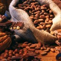 El cacao podría convertirse en un artículo de lujo.