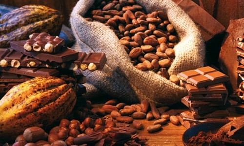 El cacao podría convertirse en un artículo de lujo.