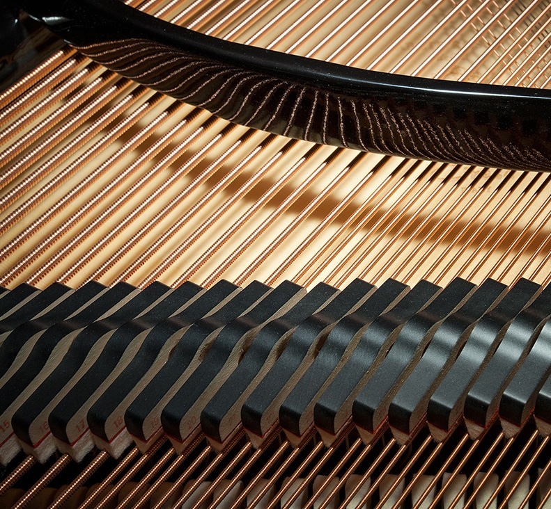 imagen 3 de El piano más bello del mundo.