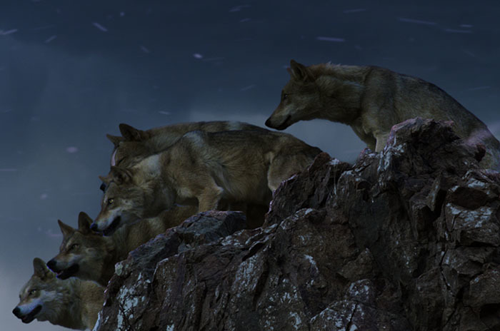 imagen 6 de El último lobo.