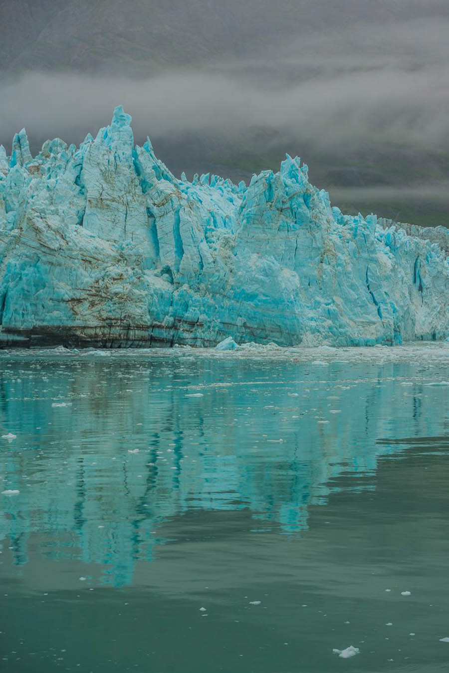 imagen 5 de Bahía de los Glaciares, el destino que preserva Jaeger-LeCoultre.