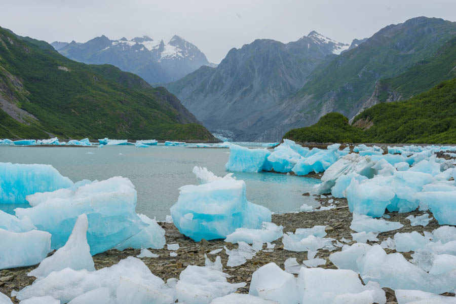 imagen 7 de Bahía de los Glaciares, el destino que preserva Jaeger-LeCoultre.