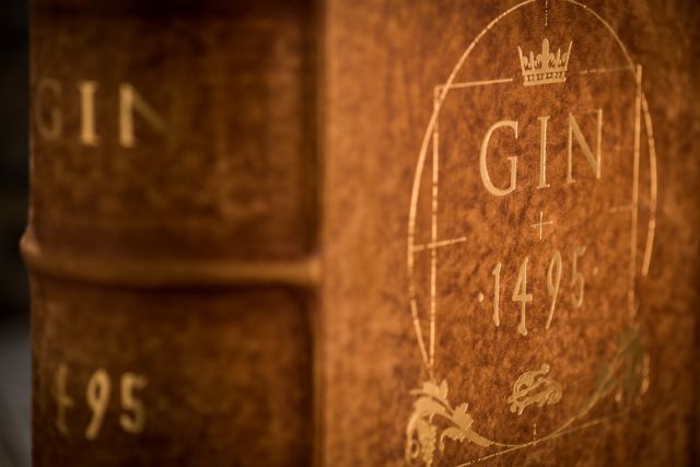 imagen 9 de Gin 1495 o la búsqueda del Santo Grial