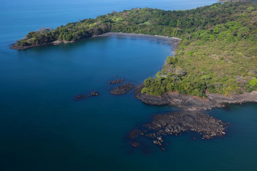 imagen 2 de Isla Palenque, lujo selvático en Panamá.