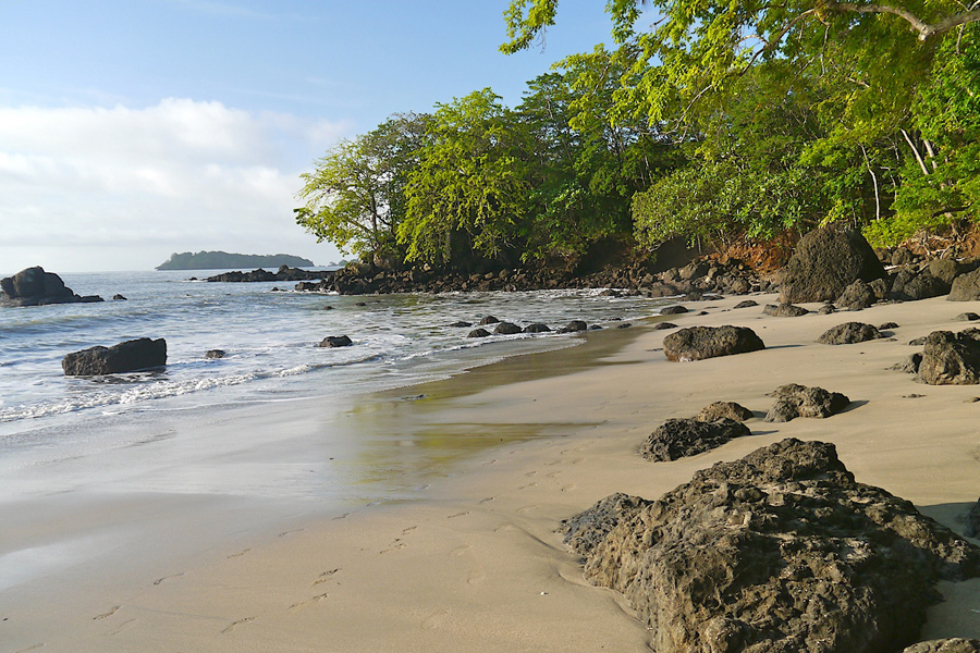 imagen 1 de Isla Palenque, lujo selvático en Panamá.