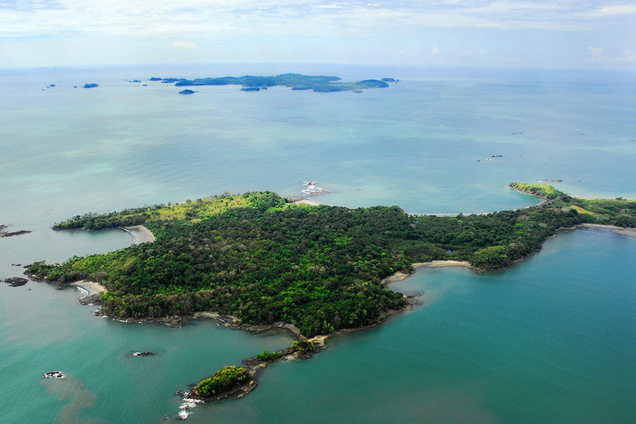 imagen 9 de Isla Palenque, lujo selvático en Panamá.