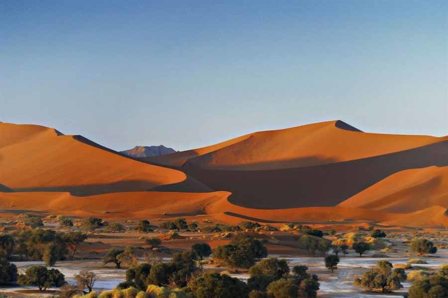 imagen 6 de Sossusvlei, un lodge de lujo en el desierto de Namibia.